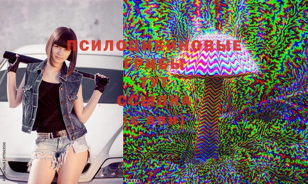 а пвп мука Абаза