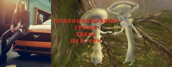 а пвп мука Абаза