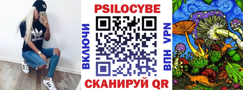 дарк нет официальный сайт Пудож Псилоцибиновые грибы мицелий